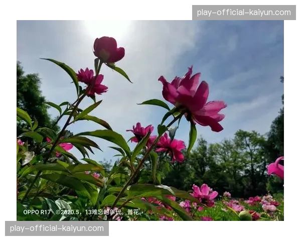 特写：雨战过后，梅斯老将浑身泥泞与队友拥抱